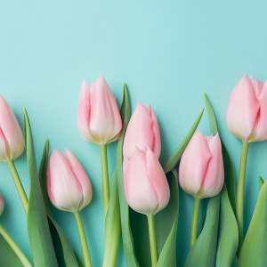 عکس 4k دشت گل های لاله صورتی با کیفیت بالا