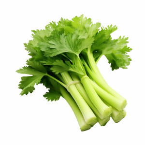 عکس png 4k دسته کرفس با کیفیت بالا