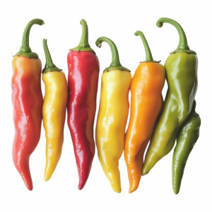 عکس png فلفل تند رنگی با کیفیت بالا