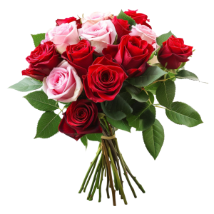 عکس png گل رز قرمز رنگ با پس زمینه خام