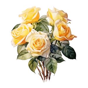 عکس گل رز رنگ های متفاوت با کیفیت بالا