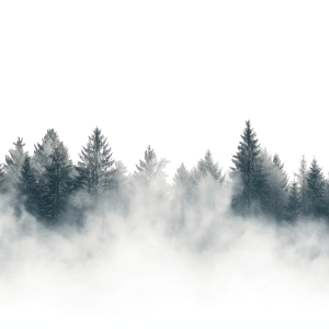 عکس 4k پس زمینه جنگل پر از مه با کیفیت بالا و خام