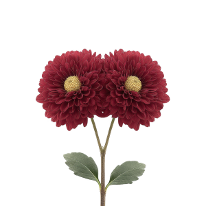 عکس png شاخه گل های قرمز با کیفیت بالا