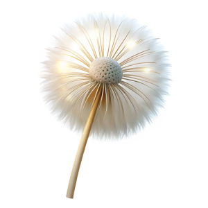 عکس png قاصدک بسیار زیبا با کیفیت بالا و خام