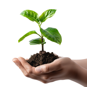 عکس مهربانی با طبیعت و گیاه سبز با کیفیت بالا