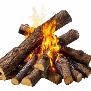 عکس png چوب در حال سوختن و آتش گرفتن