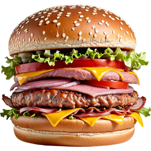 عکس png همبرگر معمولی با بکگراند خام
