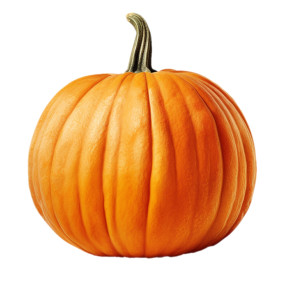 عکس کدو تنبل با کیفیت بالا و بدون پس زمینه