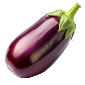 عکس png بادمجان تازه با پوست براق و پس‌زمینه خام