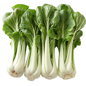 عکس png کاهو سبز و تازه با کیفیت بالا و خام