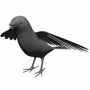 مدل سه بعدی کاراکتر آناتومی پرنده