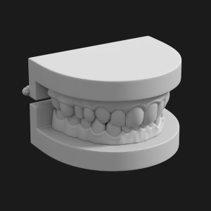مدل سه بعدی دندان های مصنوعی انسان با کیفیت بالا