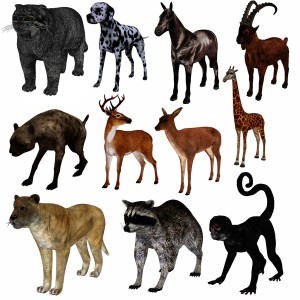 مدل سه بعدی حیوانات جنگل اسب،شیر و کفتار